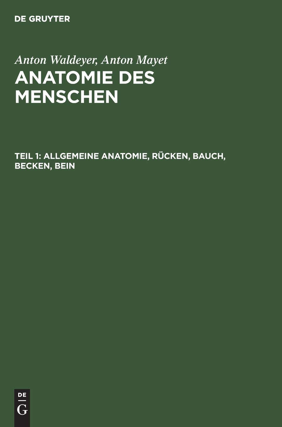 Allgemeine Anatomie, Rcken, Bauch, Becken, Bein (German Edition),Used