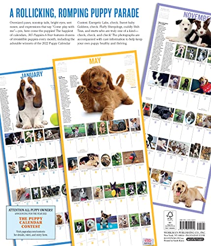 365 PuppiesAYear PictureADay Wall Calendar 2022: The Most Adorable, Irresistible Puppies.,Used