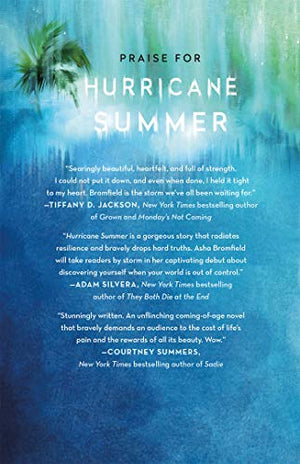 Hurricane Summer: A Novel,Used