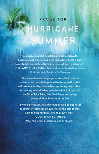 Hurricane Summer: A Novel,Used