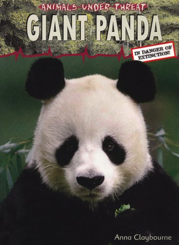 Giant Panda: In Danger of Extinction! (Animals Under Threat),Used