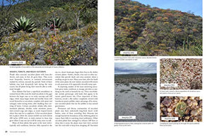 The Timber Press Guide To Succulent Plants Of The World: A Comprehensive Reference To More Than 2000 Species,New