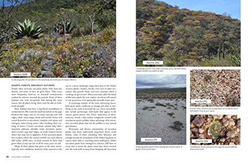 The Timber Press Guide to Succulent Plants of the World: A Comprehensive Reference to More than 2000 Species,Used