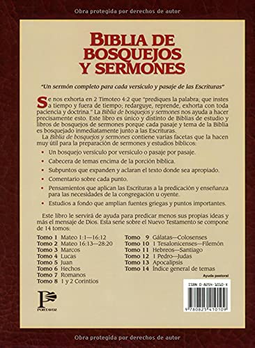Biblia de bosquejos y sermones: Juan (Biblia de Bosquejos y Sermones N.T.) (Spanish Edition),Used