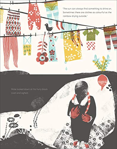 Mole in a Black and White Hole,Used