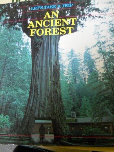 An Ancient Forest (Lets Take a Trip),Used