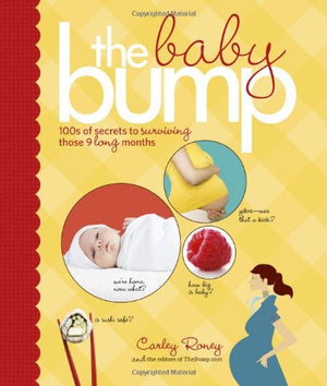 The Baby Bump: 100S Of Secrets To Surviving Those 9 Long Months