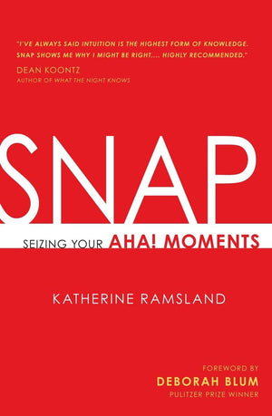 Snap: Seizing Your Aha! Moments,Used