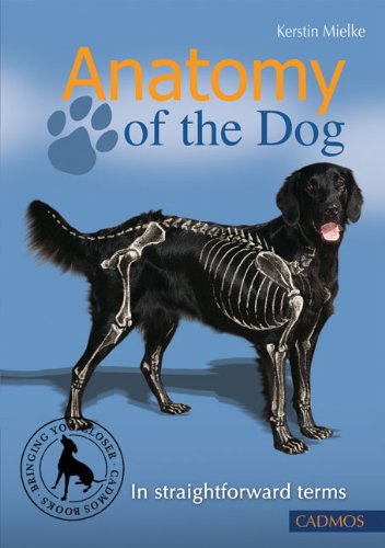 Anatomy Of The Dog: In Straightforward Terms