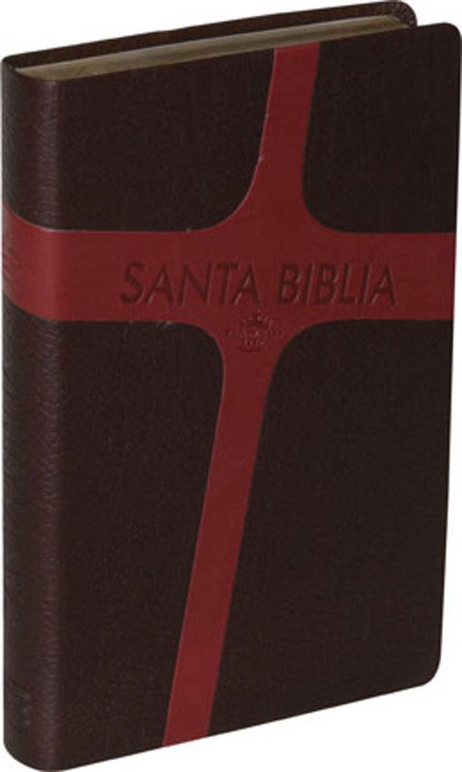 Santa Biblie Letra Grandervr 1960 (Spanish Edition),Used