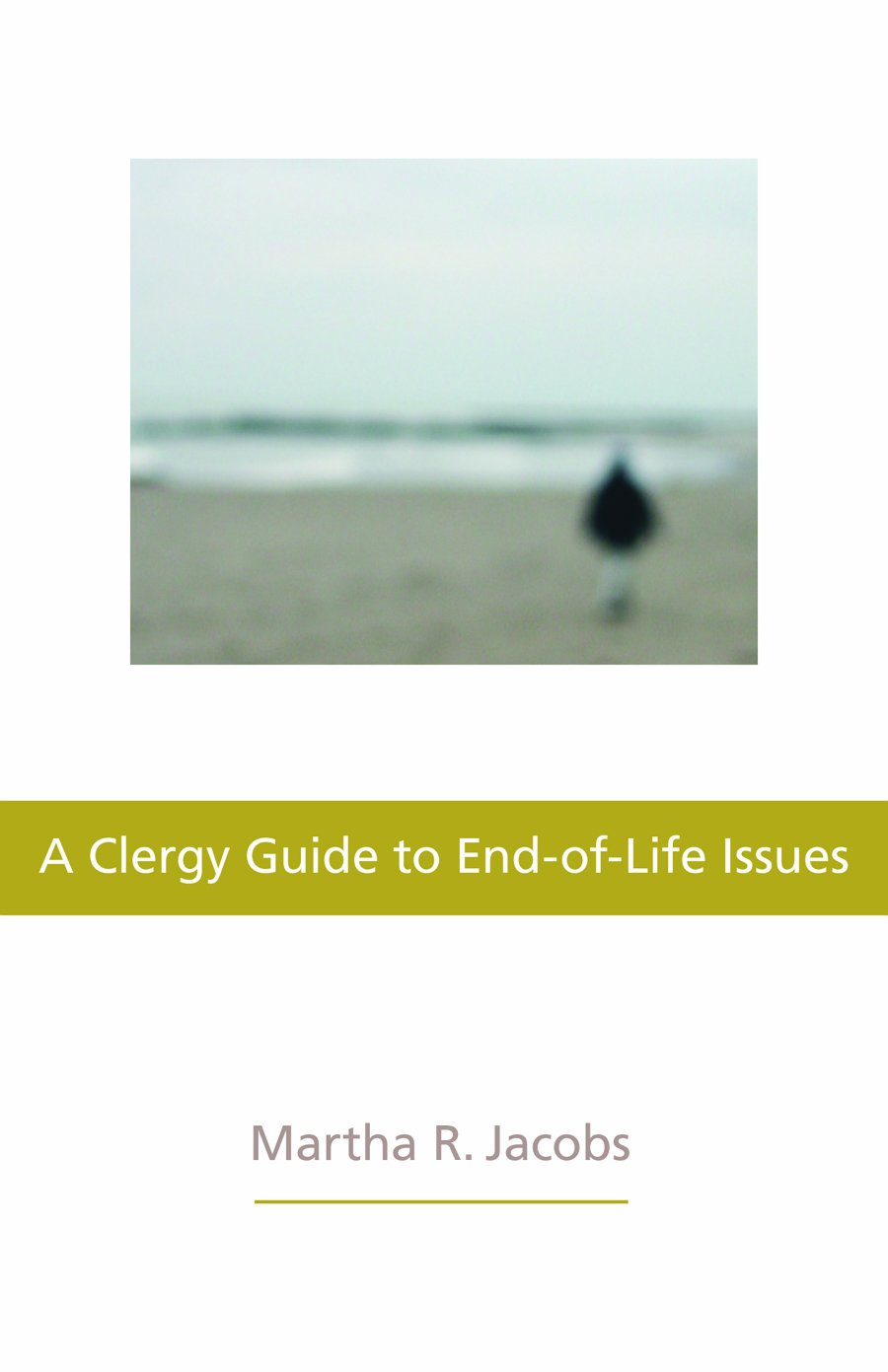 A Clergy Guide to EndofLife Issues,Used