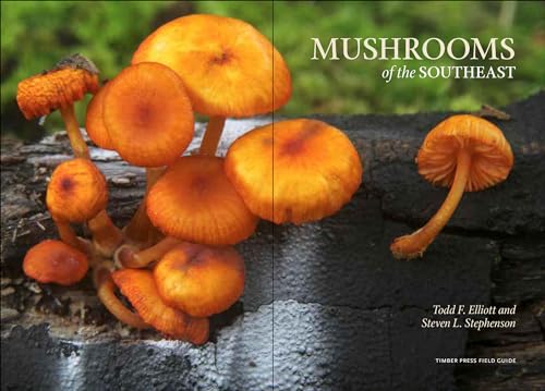 Mushrooms Of The Southeast (A Timber Press Field Guide),New