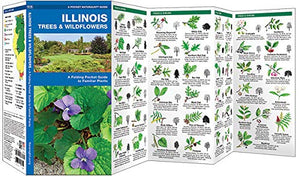 Illinois Trees & Wildflowers: A Folding Pocket Guide to Familiar Plants (Wildlife and Nature Identification),Used