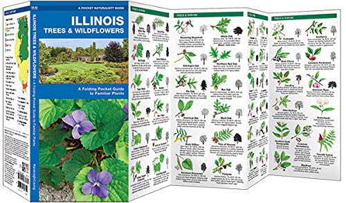 Illinois Trees & Wildflowers: A Folding Pocket Guide to Familiar Plants (Wildlife and Nature Identification),Used
