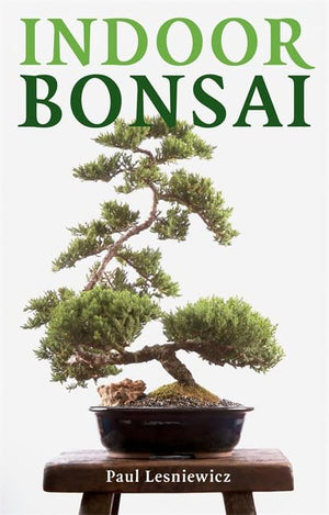 Indoor Bonsai,Used