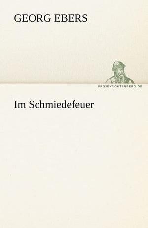 Im Schmiedefeuer (German Edition),Used