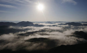 Beauty Of Korea,Used