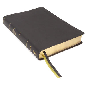 NASB, Thinline Bible, Large Print, Passaggio Setting, Leathersoft, Black, Red Letter, 1995 Text, Comfort Print: Elegantly unitin,Used