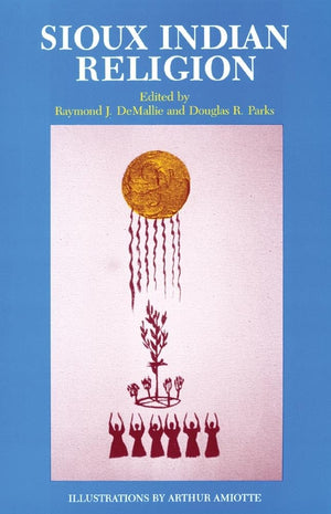 Sioux Indian Religion: Tradition and Innovation,Used