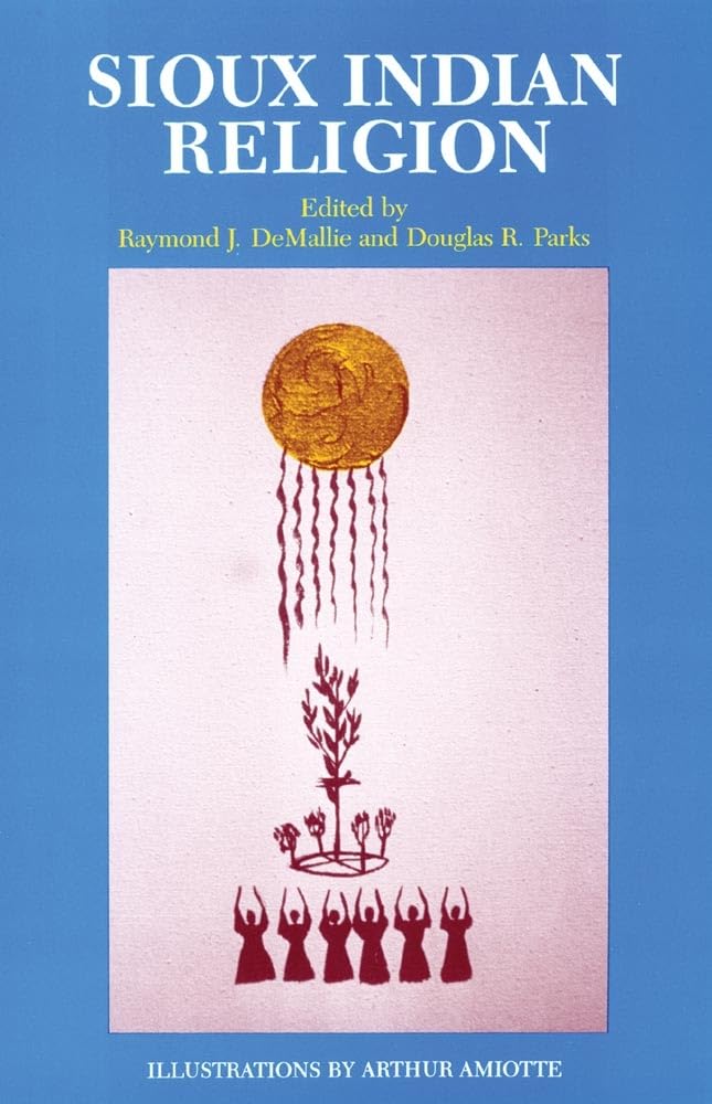Sioux Indian Religion: Tradition and Innovation,Used