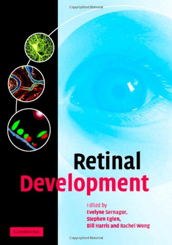 Retinal Development,New