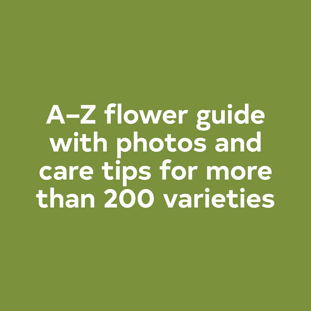Floret Farm?s A Year in Flowers: Designing Gorgeous Arrangements for Every Season (Floret Farms x Chronicle Books),New