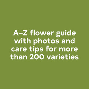 Floret Farm?s A Year in Flowers: Designing Gorgeous Arrangements for Every Season (Floret Farms x Chronicle Books),New