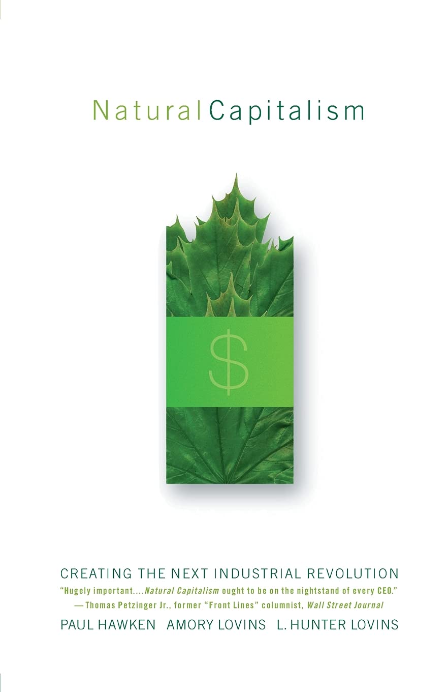 Natural Capitalism: Creating the Next Industrial Revolution,Used