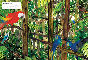 Masters Of Disguise: Camouflaging Creatures & Magnificent Mimics