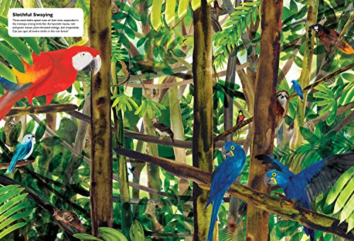 Masters Of Disguise: Camouflaging Creatures & Magnificent Mimics