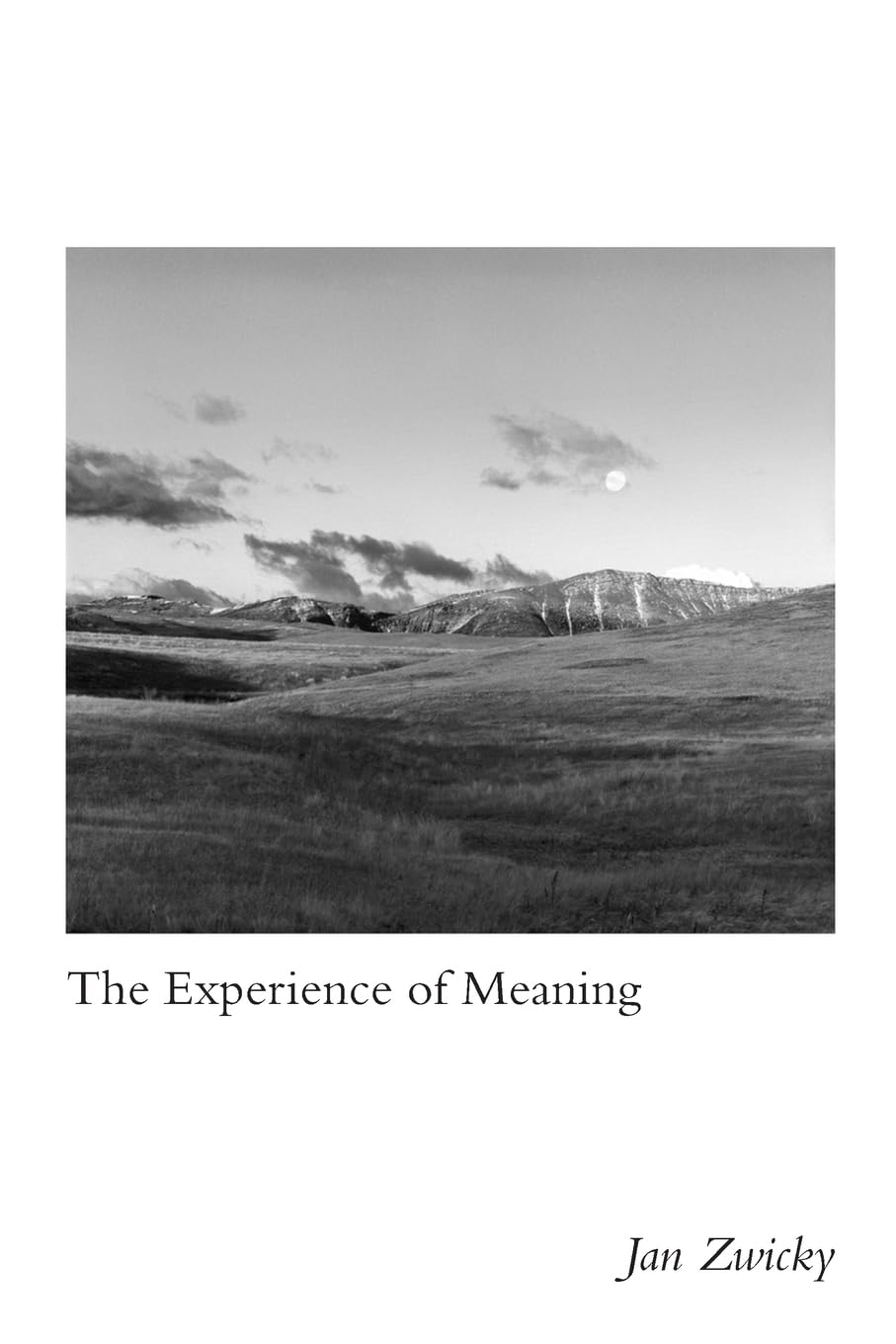 The Experience of Meaning,Used
