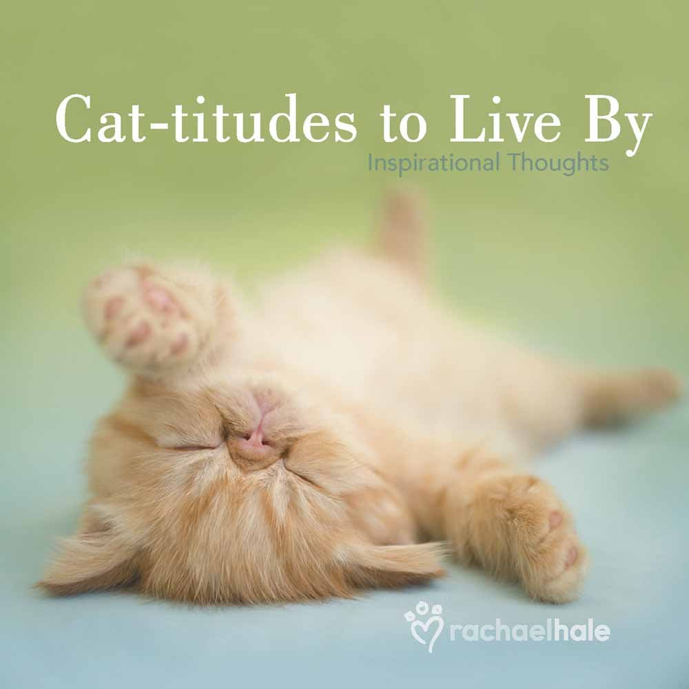 Cattitudes To Live By: Inspirational Thoughts,Used