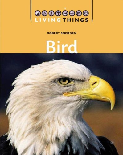 Birds (Living Things),Used
