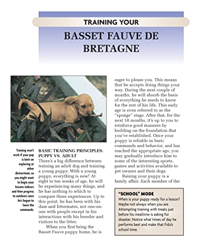 Basset Fauve De Bretagne (Comprehensive Owner'S Guide)