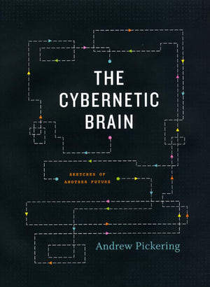 The Cybernetic Brain: Sketches of Another Future,Used