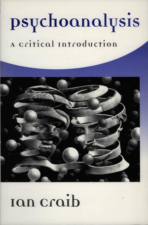 Psychoanalysis: A Critical Introduction,Used
