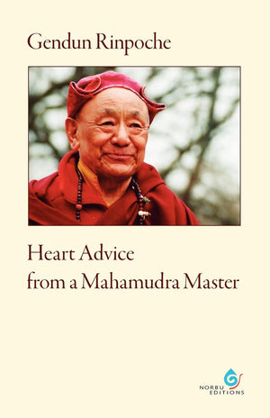 Heart Advice From A Mahamudra Master