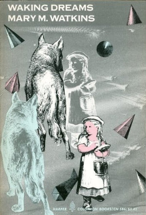 Waking dreams (Harper Colophon Books ; CN 586),Used