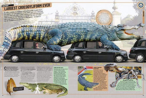 Guinness World Records 2020,New