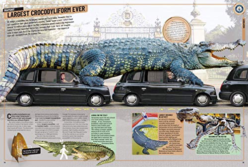 Guinness World Records 2020,New