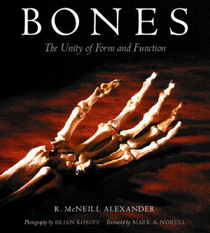 Bones: The Unity Of Form And Function,Used