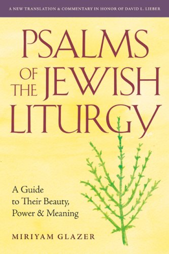 Psalms Of The Jewish Liturgy: A Guide To Their Beauty, Power, And Meaning,New