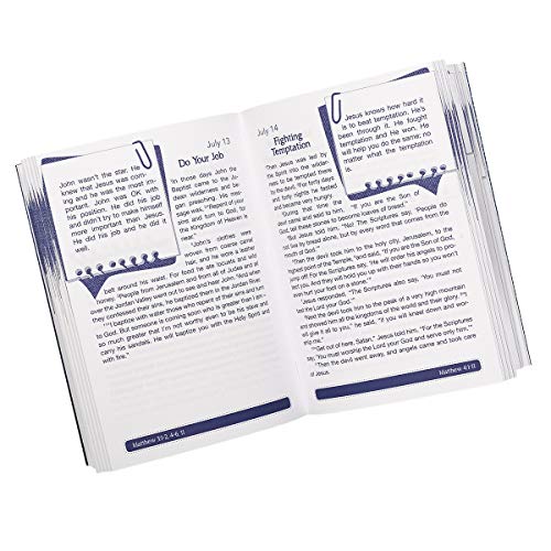 The Bible in 366 Days for Guys,Used