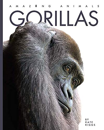 Gorillas (Amazing Animals),Used
