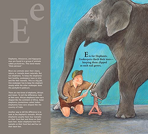 Z Is for Zookeeper: A Zoo Alphabet (Science Alphabet),Used
