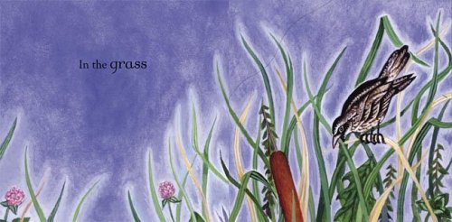 In the Fiddle Is a Song: A LifttheFlap Book of Hidden Potential,Used