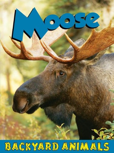 Moose (Backyard Animals),New