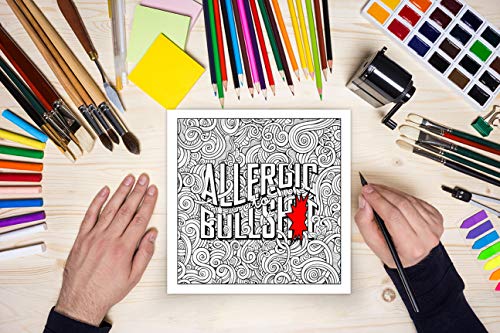 Swear Word Coloring Book For Adults: Zero F*cks Given,Used
