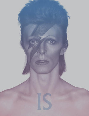 David Bowie Is: Inside The Visionary World Of David Bowie