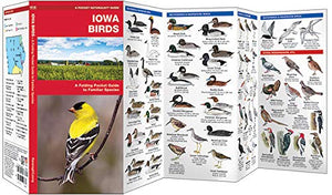Iowa Birds: A Folding Pocket Guide to Familiar Species (Wildlife and Nature Identification),Used